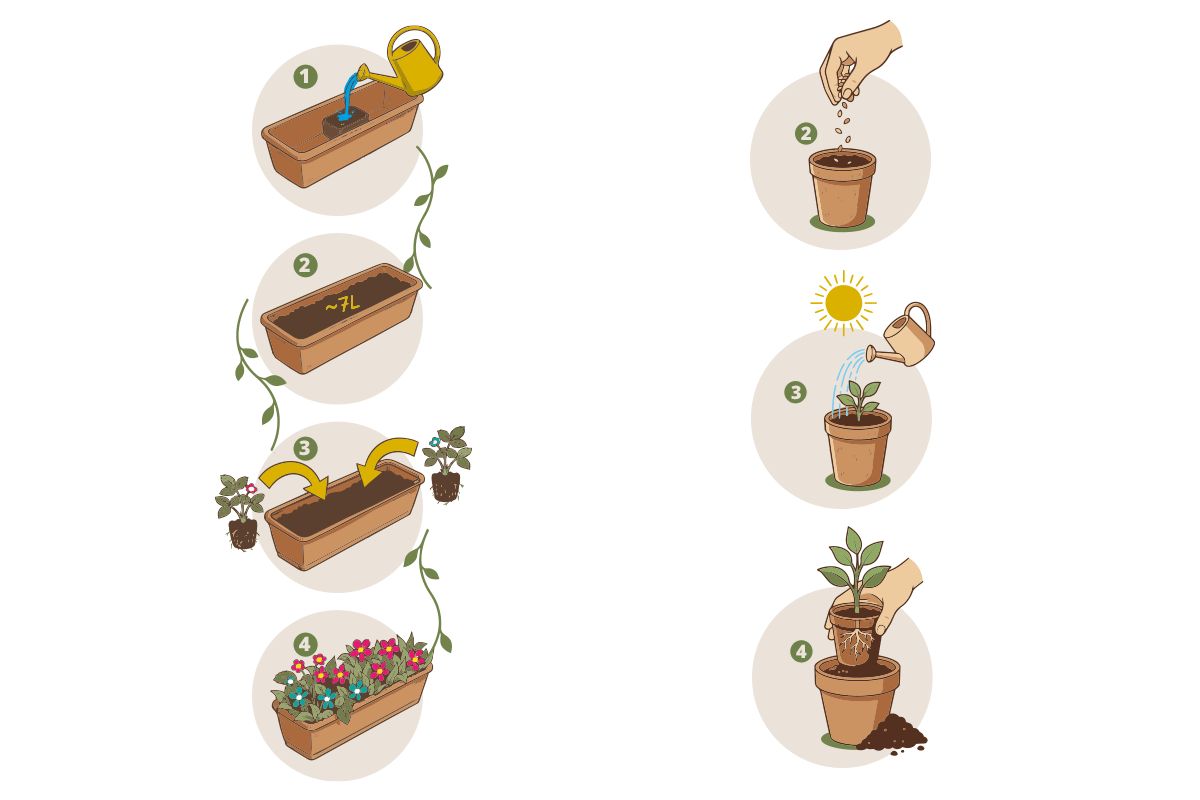 Illustration für Werbung und Marketing erstellen lassen