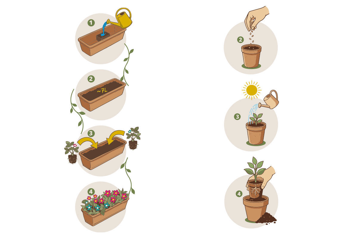 Zeichnung und Illustration für Verpackung erstellen lassen